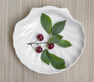 Directly above shot of fruit salad in plate on table