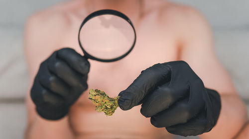 Midsection of man holding medical cannabis and magnifying glass