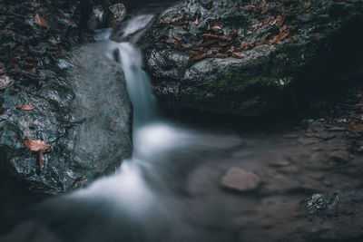 Stream flowing through rocks in forest