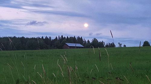 Scenic view of field against sky during sunset