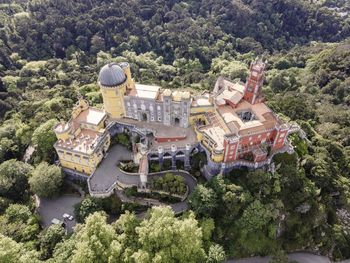 High angle view of buildings and trees