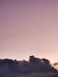 Low angle view of silhouette trees against sky during sunset