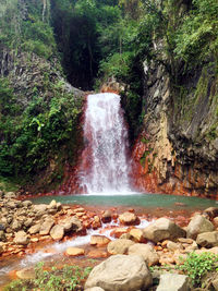 View of waterfall in forest
