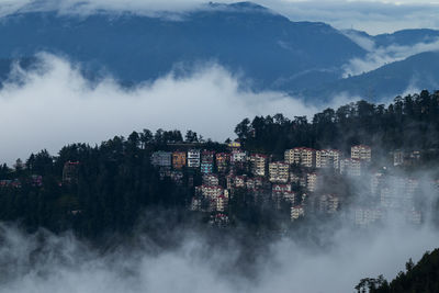 High angle view of trees and buildings against sky