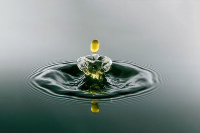 Close-up of water drop