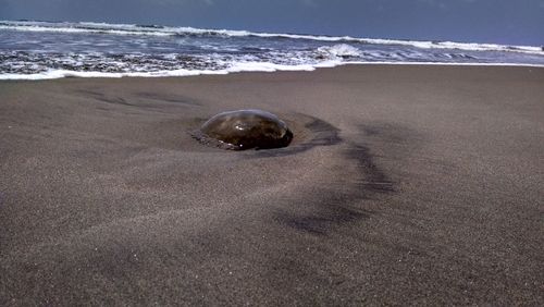 Close-up of water