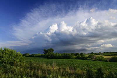 Scenic view of field against sky