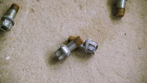 High angle view of light bulb on floor