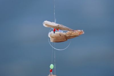 Low angle view of horse hanging on rope against sky