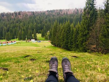 Low section of person sitting on grassy field against trees