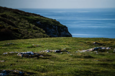 Scenic view of sea shore against sky