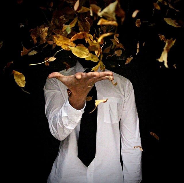 standing, leaf, men, studio shot, outdoors, black background