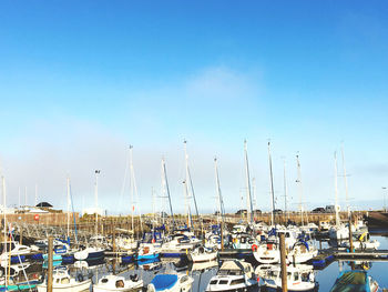 Sailboats moored in harbor