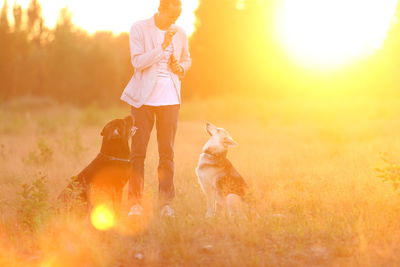 Full length of man with dogs on field during sunset