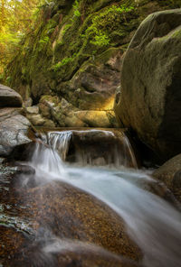 View of waterfall in forest