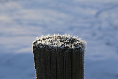 Close-up of wooden post on snow