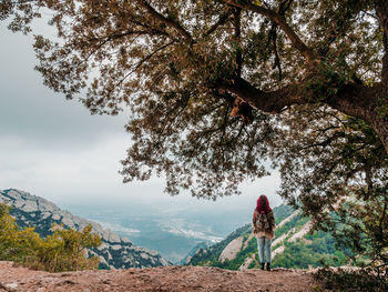 Rear view of woman standing by tree on mountain against sky