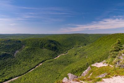 Scenic view of landscape against sky