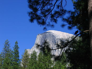 Low angle view of half dome at yosemite national park against clear blue sky