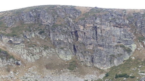 Close-up of rocks on land