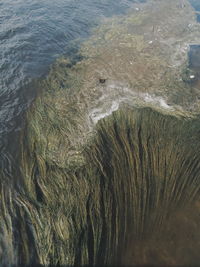 High angle view of beach