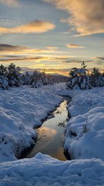winter