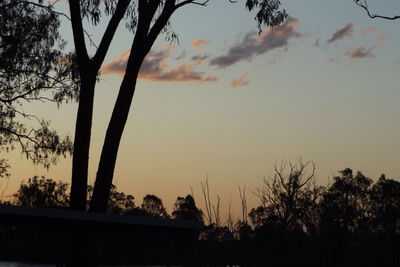 Silhouette trees against sky during sunset