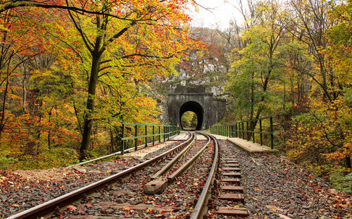 Railroad tracks amidst trees during autumn