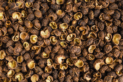 Full frame shot of coffee beans