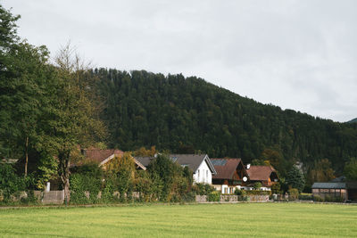 Houses and trees on field against sky