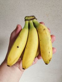 Cropped hand holding bananas against wall