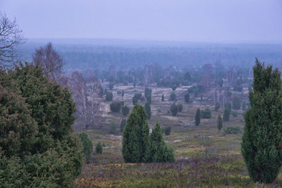 High angle view of trees on field against sky