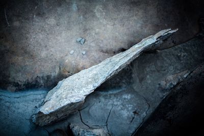 Close-up of old wood on rock