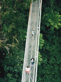 High angle view of people on suspension bridge over trees