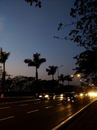 Cars on road at night