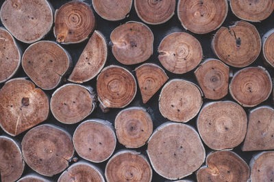 Full frame shot of logs in forest