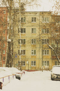 Snow covered tree by building in city