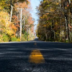 Road amidst trees during autumn