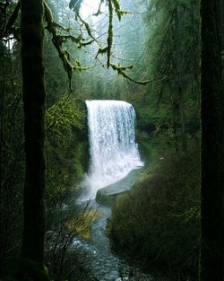 Close-up of waterfall against trees