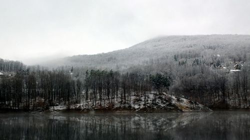 Scenic view of lake in forest against sky