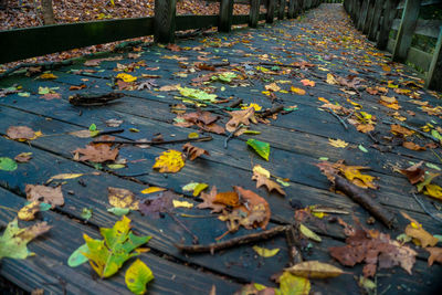 Autumn leaves fallen on water