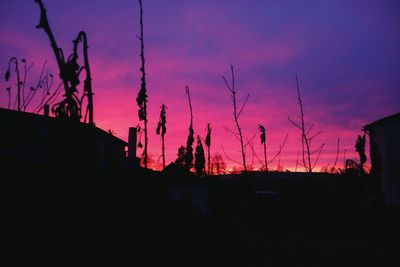 Silhouette of trees against sky during sunset