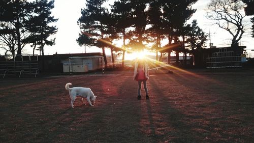 Dog standing on landscape