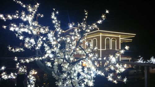 Illuminated built structure at night