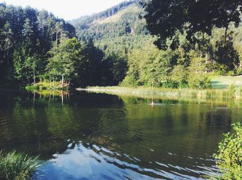 Reflection of trees in lake