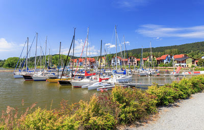 Sailboats moored in harbor