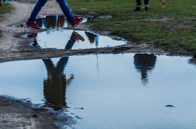 Reflection of trees in water