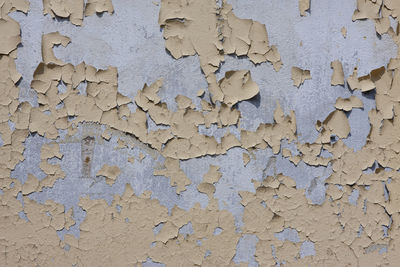 Full frame shot of weathered wall