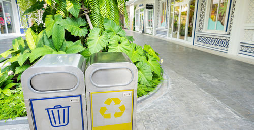 Public area trash bins for sustainable waste management. sustainable living. recycling bins