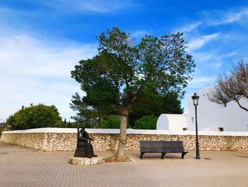 Woman sitting on bench against trees and plants against sky